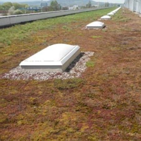 Flachdach, geneigtes Dach